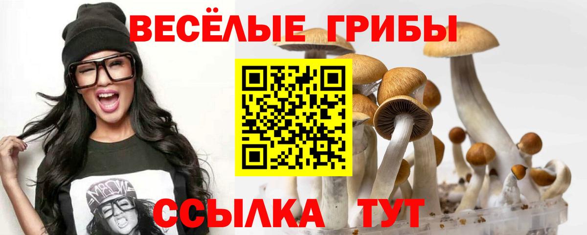 Конаково  Галлюциногенные грибы MAGIC MUSHROOMS  Вход с VPN 